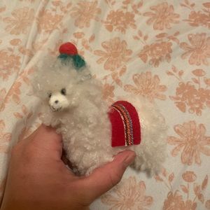 cute little llama